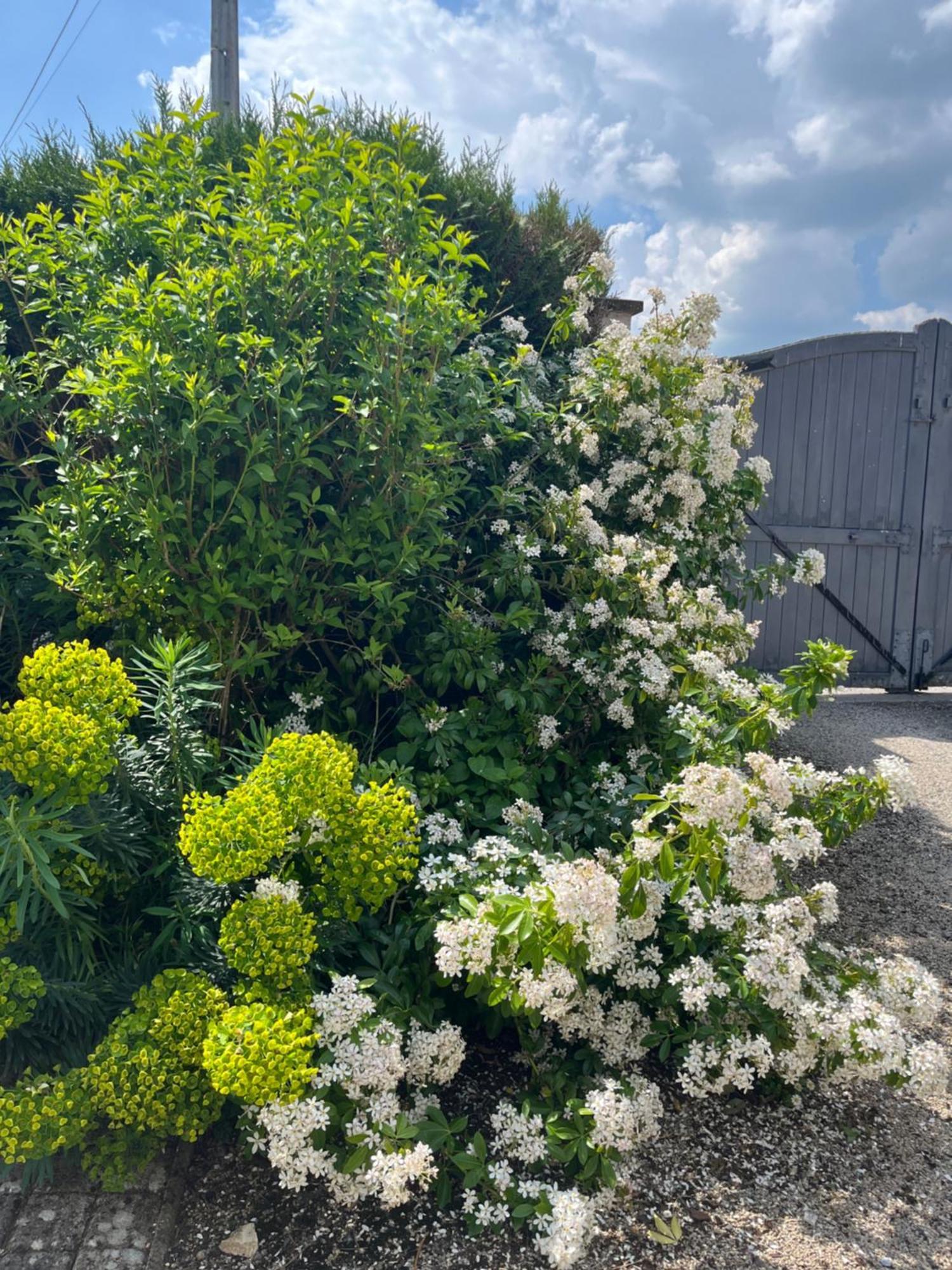 Gite Les Piraudieres Noyant-de-Touraine Exterior foto